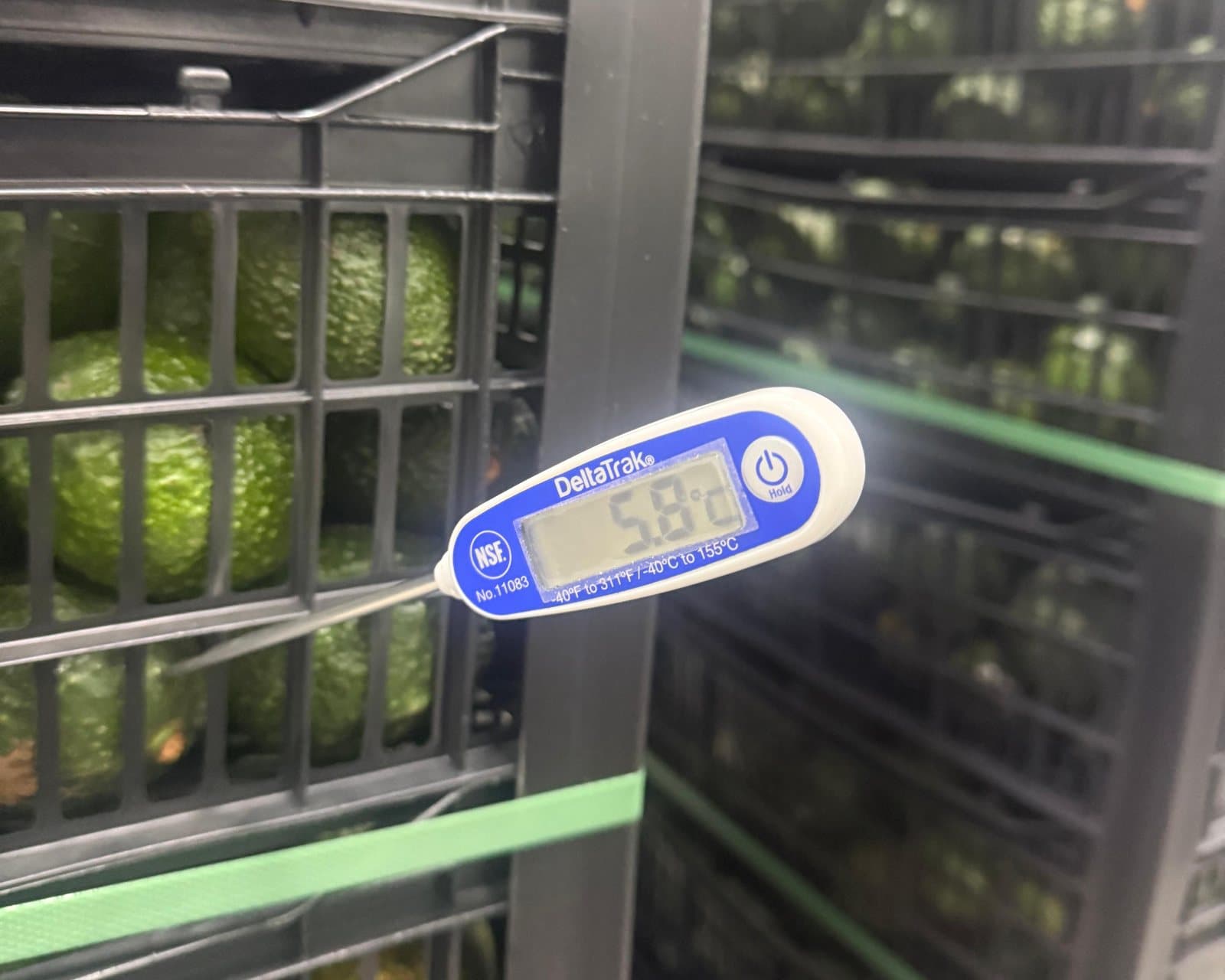 Control de temperatura de pulpa en tarima de aguacate