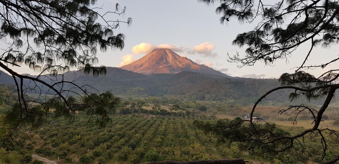 Huertas de aguacate y Volcán de Colima al atardecer