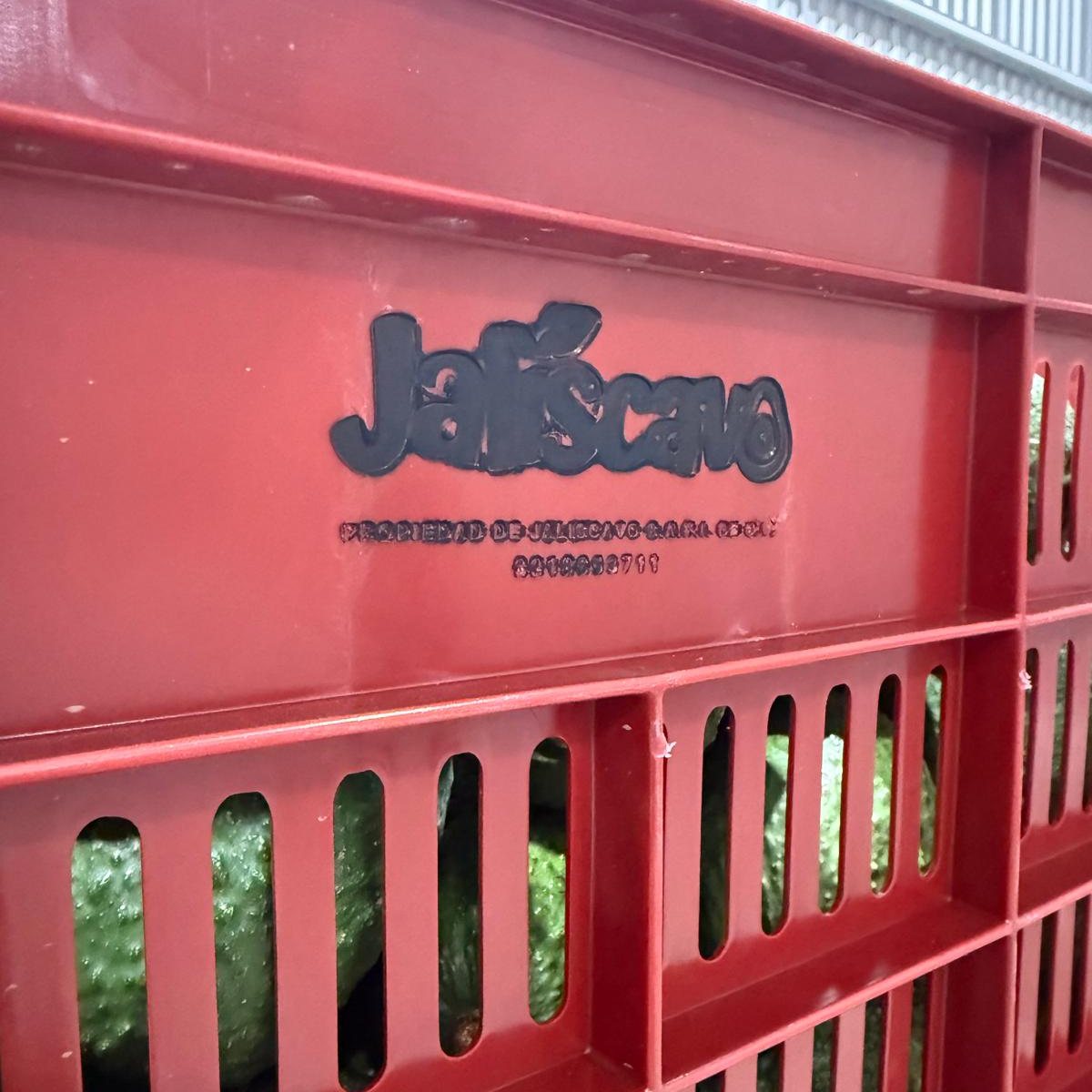Caja de campo con el logotipo de JALISCAVO llena de aguacate