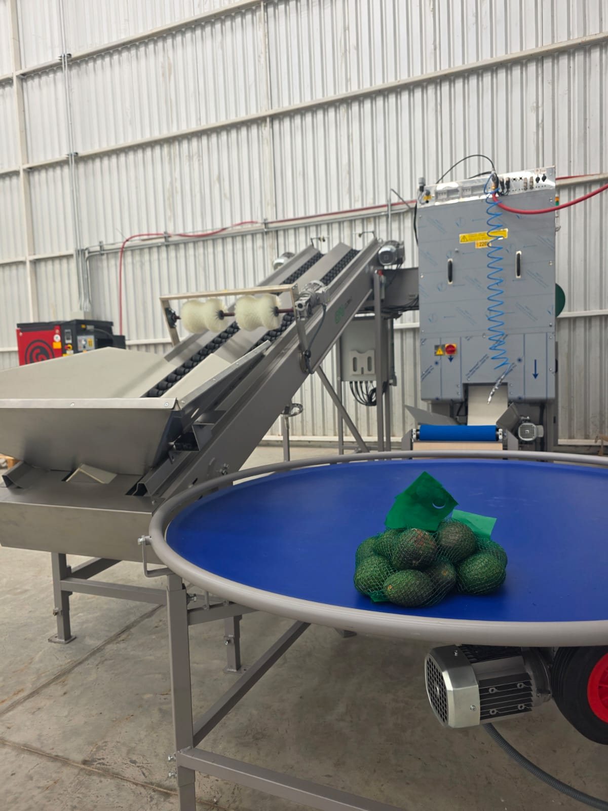 Enmalladora Giró en la planta de JALISCAVO con una malla de aguacates sobre la mesa giratoria