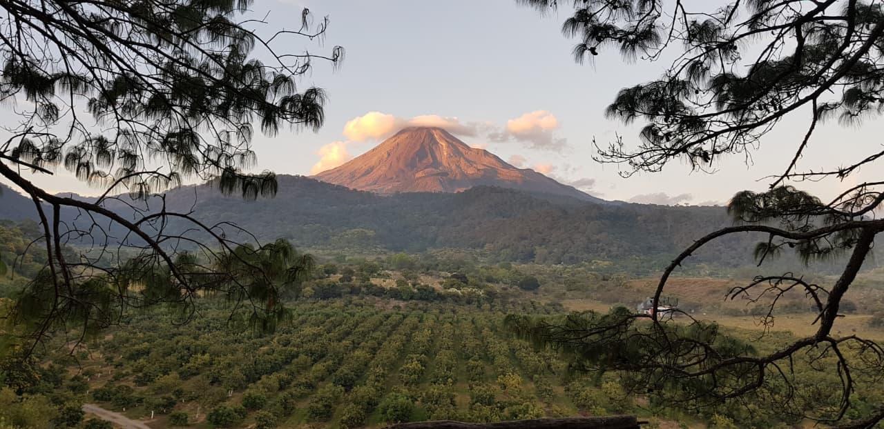 Huertas de aguacate y Volcán de Colima al atardecer